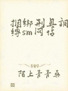 捆绑刑具调教束缚sm网站