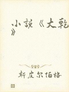 小说《大乾憨婿》