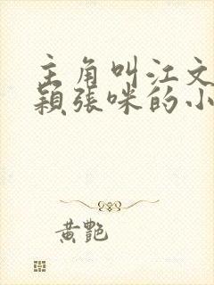 主角叫江文斌赵颖张咪的小说