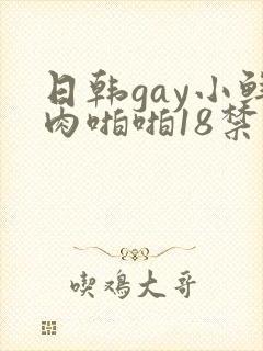 日韩gay小鲜肉啪啪18禁