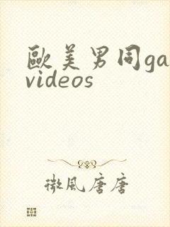 欧美男同gayvideos