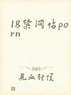 18禁网站porn