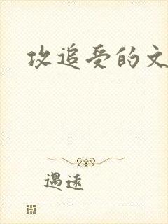 攻追受的文