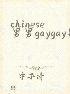 chinese男男gaygay网