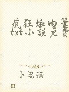 疯狂炖肉笔趣阁txt小说免费阅