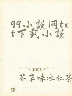 99小说网txt下载小说