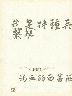 我是特种兵小说系统