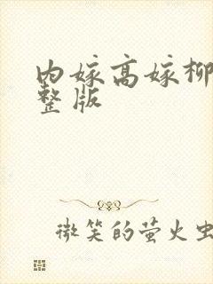 内嫁高嫁柳家完整版