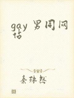 gay 男同网站封面