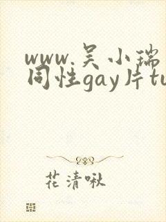 www.吴小瑞同性gay片tube