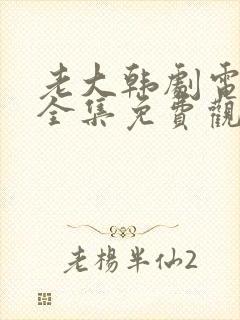 老大韩剧电视剧全集免费观看封面
