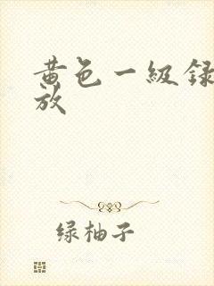黄色一级录像播放