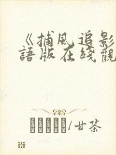 《捕风追影》国语版在线观看