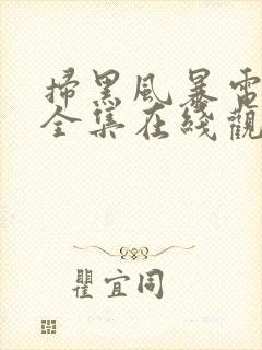扫黑风暴电视剧全集在线观看免费