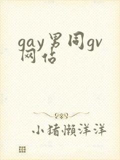 gay男同gv网站封面
