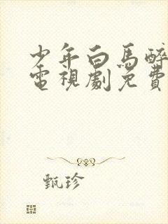 少年白马醉春风电视剧免费观看完整版星辰