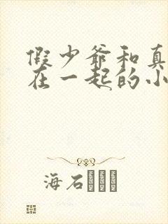假少爷和真少爷在一起的小说