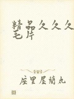 精品久久久久久毛片