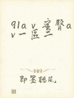 91aⅴ蜜臀av一区二