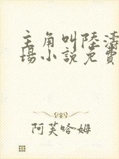 主角叫陆涛的官场小说免费阅读封面