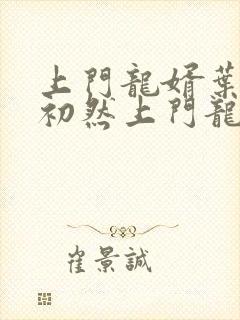 上门龙婿叶辰萧初然上门龙婿