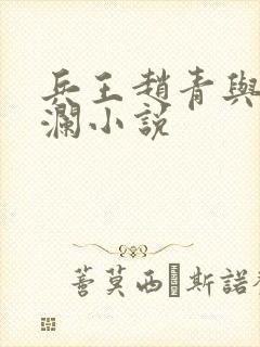 兵王赵青与林安澜小说