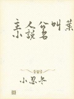 主人公叫叶昊的小说名