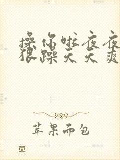 操你啦夜夜操狠狠躁天天爽封面
