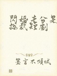 闪婚老公是亿万总裁短剧
