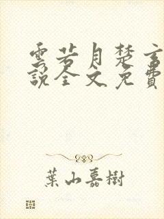 云若月楚玄辰小说全文免费阅读