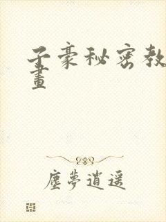 子豪秘密教学漫画封面