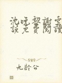 沈晚黎谢云迟小说免费阅读封面
