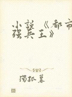 小说 《都市最强兵王》