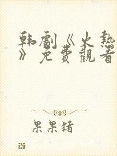 韩剧《火热追击》免费观看全集