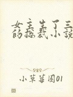 女主生了三胞胎的总裁小说封面