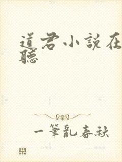 道君小说在线收听封面