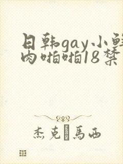 日韩gay小鲜肉啪啪18禁封面