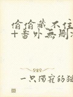 偷偷藏不住全文+番外无删减