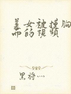 美女被摸胸摸下面的视频