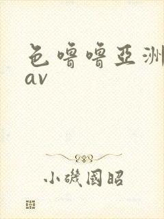 色噜噜亚洲综合av封面