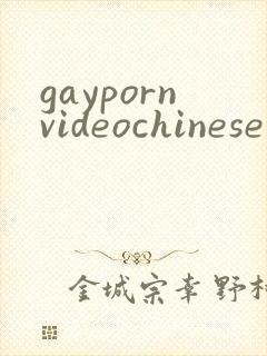 gaypornvideochinese