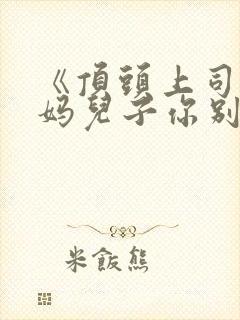 《顶头上司变后妈儿子你别懵》