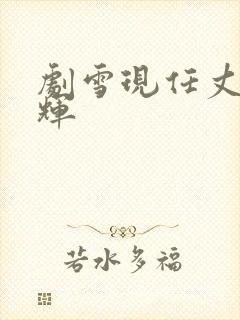 剧雪现任丈夫王辉