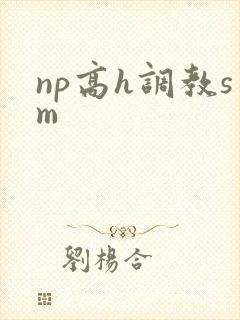 np高h调教sm