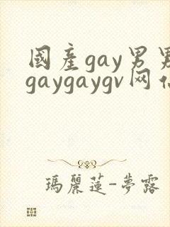 国产gay男男gaygaygv网站封面