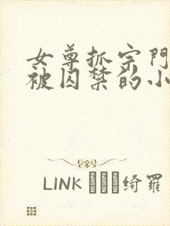 女尊抓宗门男宠被囚禁的小说推荐封面