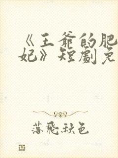 《王爷的肥婆王妃》短剧免费观看