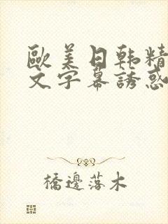 欧美日韩精品中文字幕诱惑