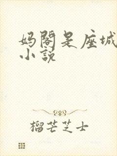 妈阁是座城原著小说