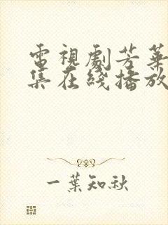 电视剧芳华40集在线播放免费观看